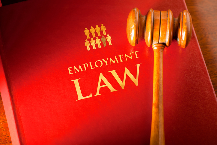 book titled "employment law" with a mallet